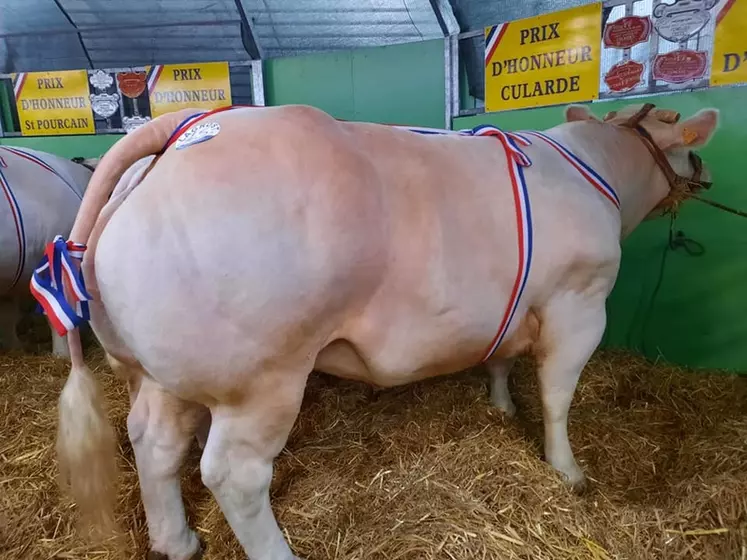 La meilleure femelle de Varennes-sur-Allier a cette année été vendue 16,5 euros du kilo carcasse. 