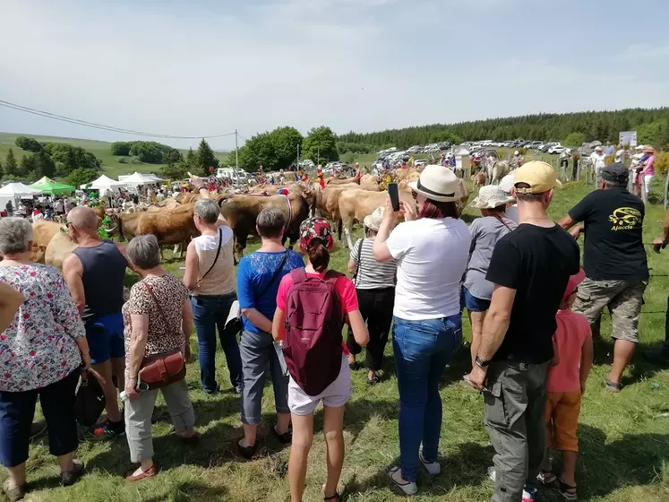 Au col de Bonnecombe en Lozère, comme sur d'autres sites dans l'Aveyron ou le Cantal, les fêtes organisées à l'occasion des montées à l'estive sont aussi l'occasion de mettre en avant l'élevage allaitant et la viande bovine. 