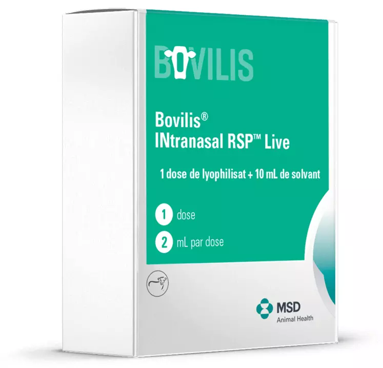 MSD Santé animale : Bovilis Intrasnasal RSP Live utilisable dès le premier jour de vie