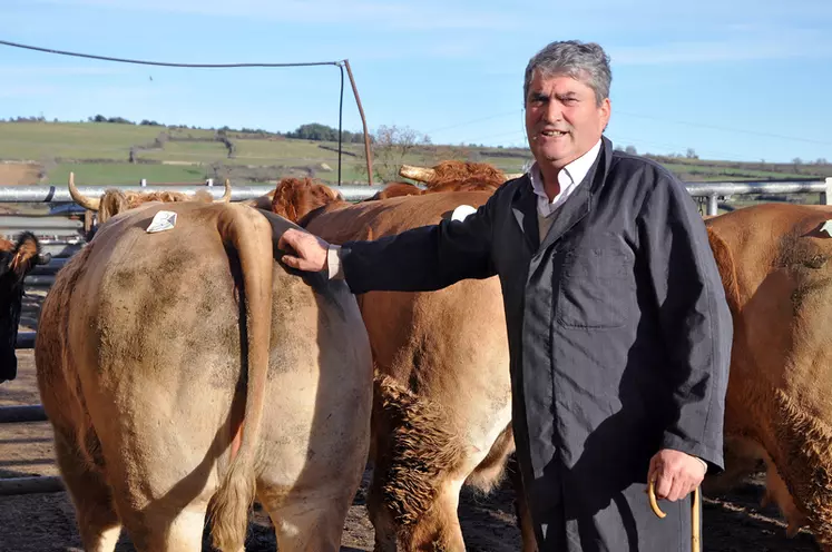 Jean-Pierre Boyer, négociant en bovins : "Un prix résulte d’une confrontation entre offre et demande"