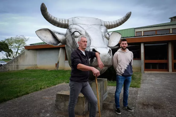 Romain et Régis Abbadie estiment entre 10 et 20 % de plus le prix qu’ils retirent au marché par rapport aux achats en ferme pour leurs veaux de 300 kilos.
