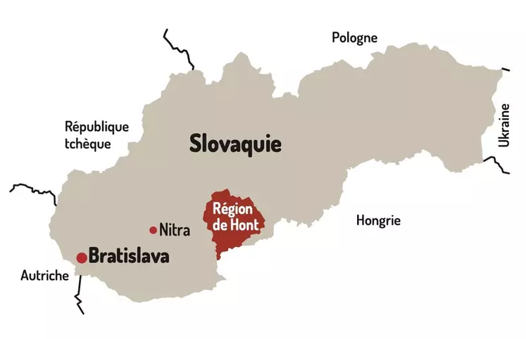 La race aubrac fait son chemin en terres slovaques dans l’élevage charolais et aubrac Slovensko
