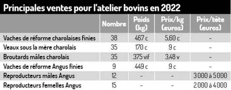 Jouer sur la complémentarité de deux troupeaux charolais et angus