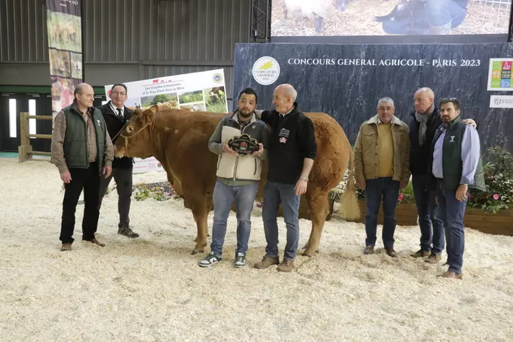 Ninja, issue du Gaec Aucomte Père et Fils (Haute-Vienne), a été vendue 9 000 € à la boucherie de la Gare à La Varenne-Saint-Hilaire (Val-de-Marne). Cette vache, née en 2017, présente un quartier arrière et une finesse d'os remarquable. 