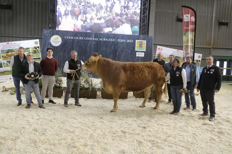 Océanie, qui vient de l'élevage de Frédéric Poirier (Vienne), a été vendue 7 800 € au E.Leclerc à Châtellerault dans le même département. Cette vache de cinq ans présente un très joli quartier arrière, de la finesse et de la longueur. 