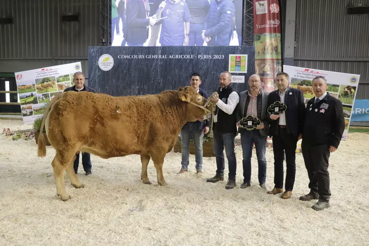Jacarta, en provenance de l'Earl Meyrignac, a été achetée 7 600 € en commun par Auchan Mondésir à Mérignac et Auchan Gallieni à Tallence (Gironde). Cette vache de neuf ans très épaisse présente un dessus exceptionnel. 