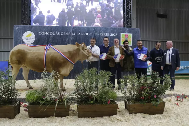 Omerta, de la SCEA Sazy Elevage (Tarn-et-Garonne), a été adjugée 22 €/kgc à Antoine Martin, boucher dans l'Aude. Cette vache de quatre à l'éclatement et au grain de viande exceptionnels, pesant 1 147 kg, décroche le top price de la vente. 