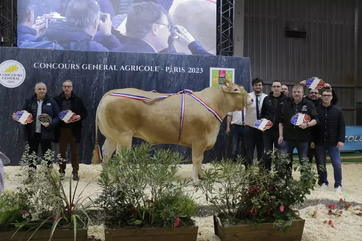 Perle, issue de l'EARL des Trois Portes (Seine-Maritime) a été vendue au Leclerc Saint-Pol-de-Léon (Finistère) pour la somme de 15,80 €/kgc. Cette vache née en 2019 pèse 1 240 kg. 