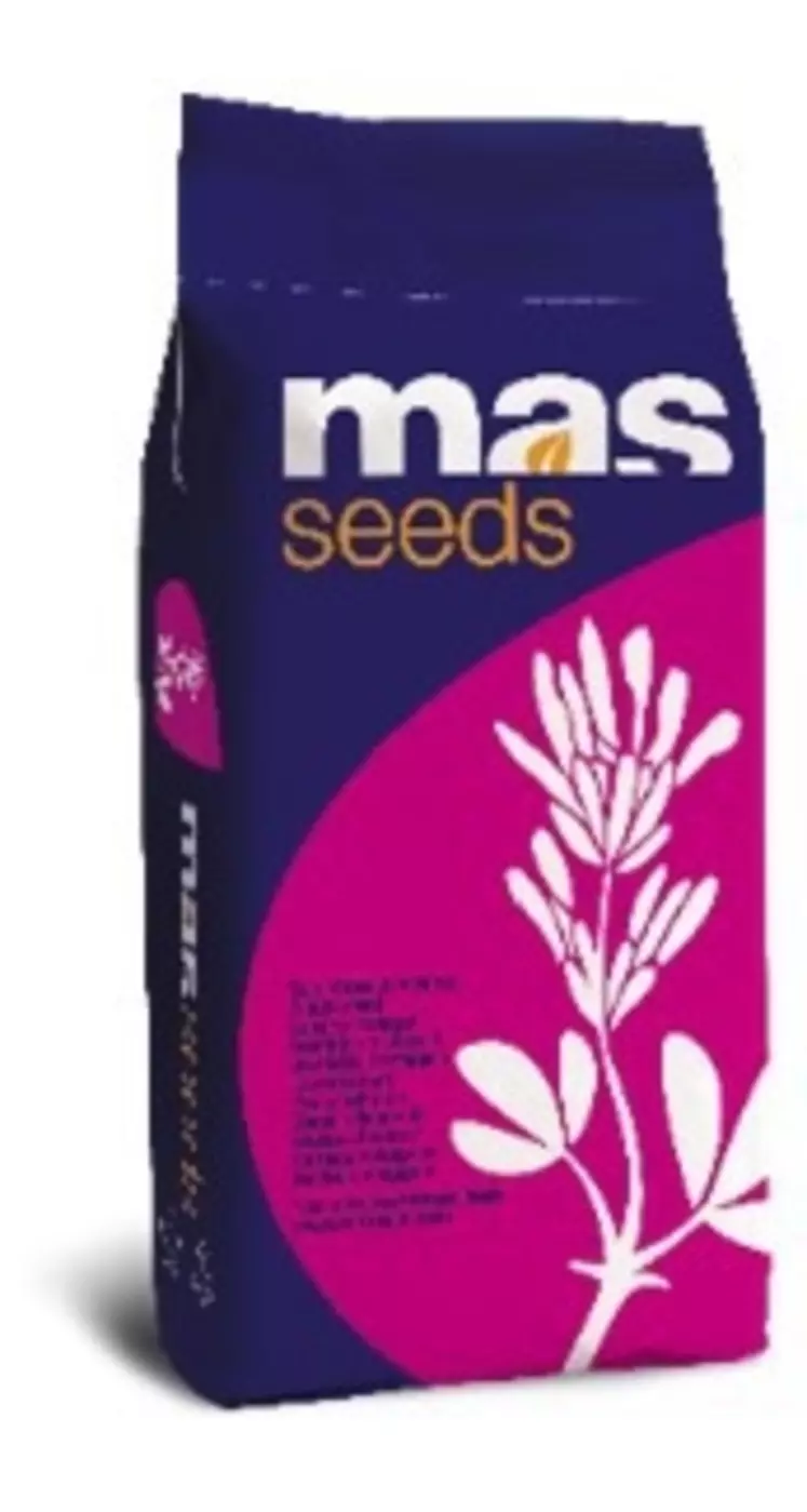  © MAS Seeds