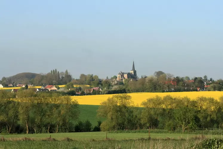 Paysage rural au printemps. village et terres agricoles. clocher. assolement. colza en fleurs et céréales. haie d'arbres. maison. maisons. habitat rural. terre agricole. ...