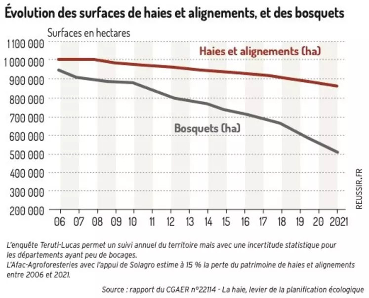 Haies : le CGAER pointe l’intérêt d’une meilleure protection des haies existantes