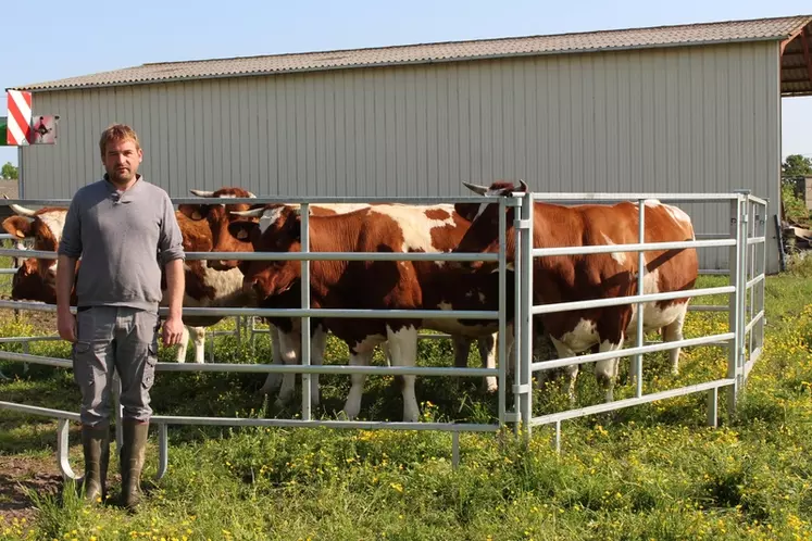 Jérémie Cheptou, éleveur en bio de 45 rouges des prés. "J'oriente le parc en appui sur une haie ou un bâtiment. Mon troupeau entier, du petit veau au bœuf de 3 ans, est ...