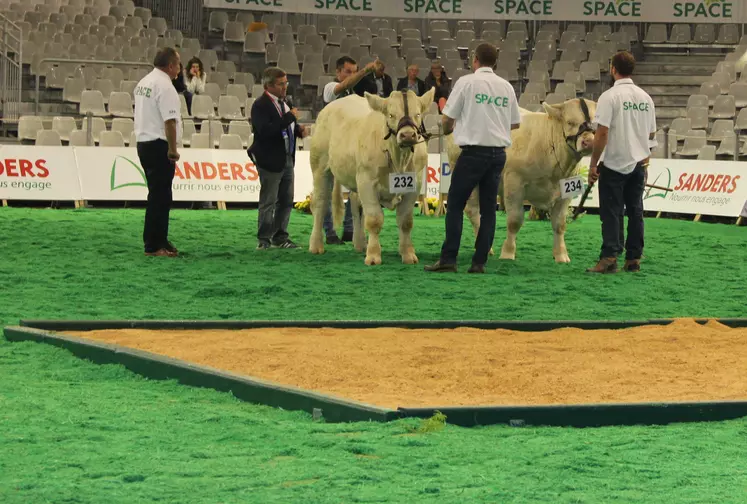 space concours charolais