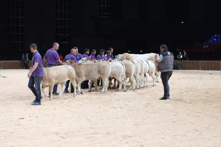 sommet de l'élevage 2019