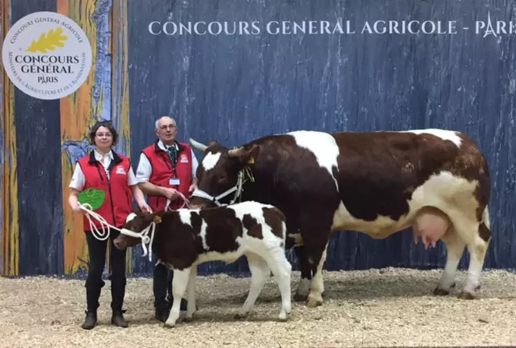 Epatente 1er prix vaches adultes Rouge des Prés SIA 2019