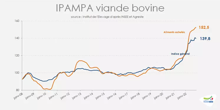 Ipampa viande bovine