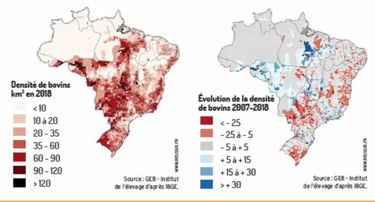 graph déforestation et élevage bovin au Brésil
