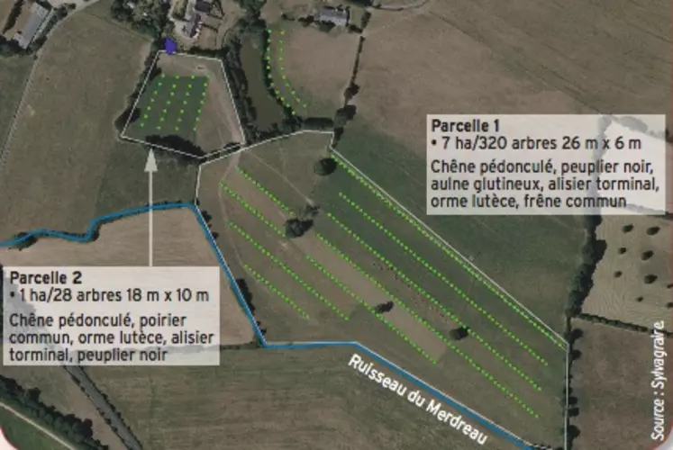 infographie agroforesterie Rémy Richard