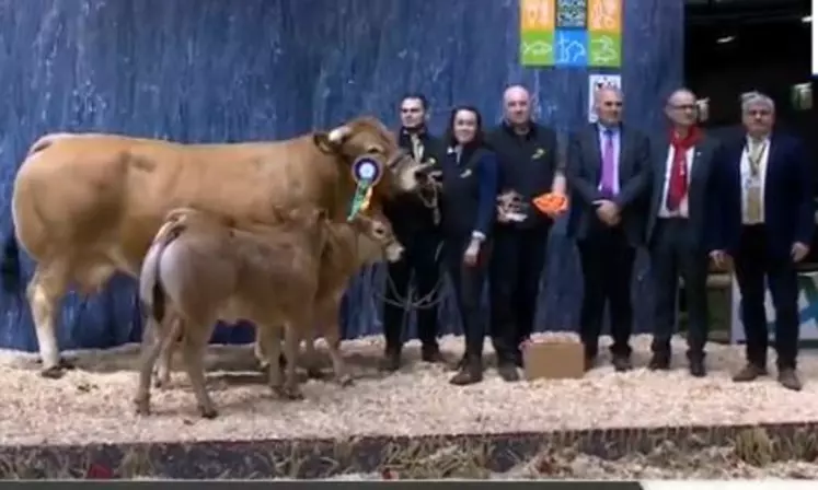 concours général agricole race Parthenaise