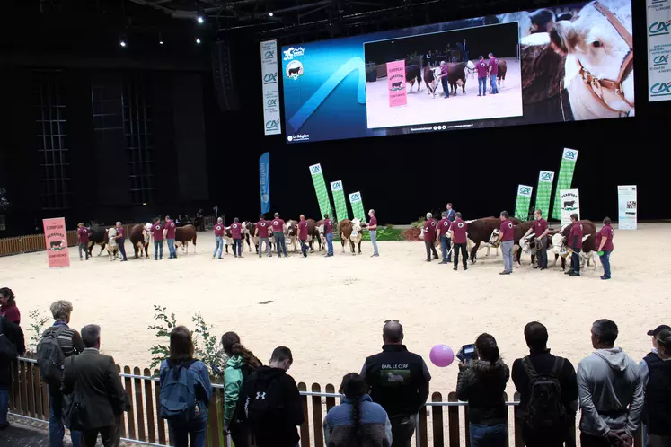 concours national Hereford sommet de l'élevage 