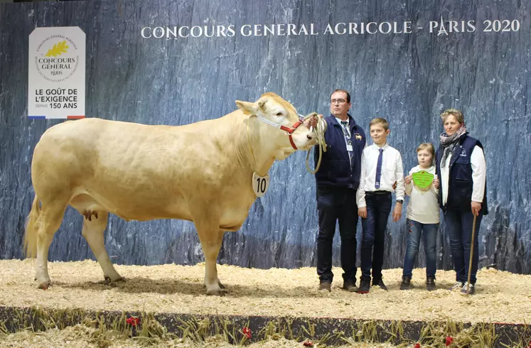 concours général agricole race Blonde d'Aquitaine