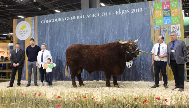 Jocker rappel de championnat Salers Paris 2019