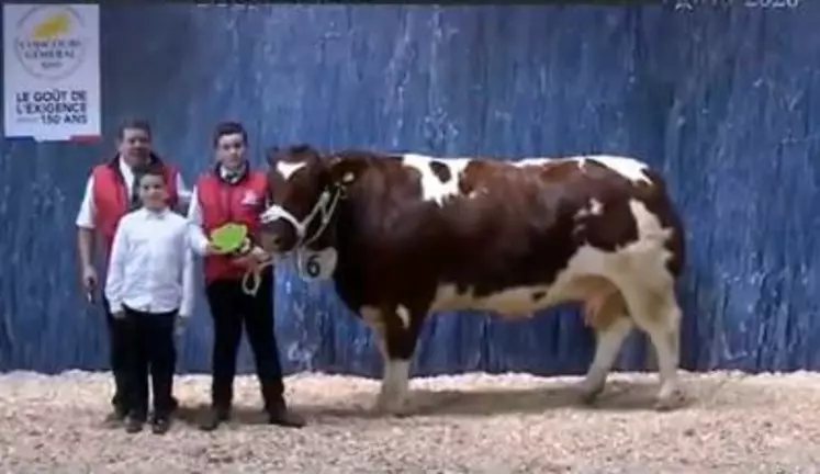 concours général agricole Rouge des Prés