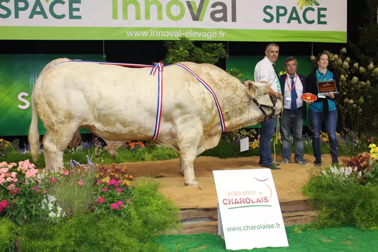 space concours charolais