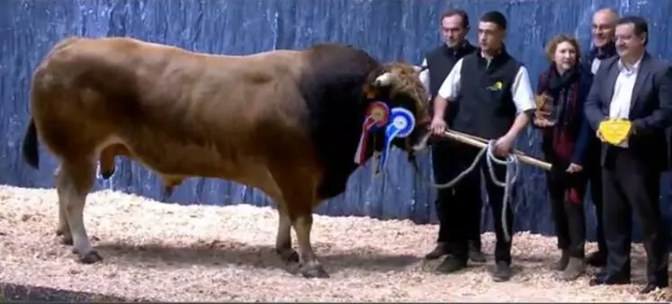 concours général agricole race Parthenaise