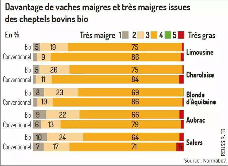 graph finition vaches de réforme bio