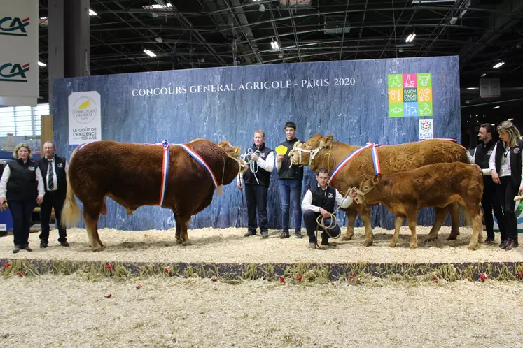 concours général agricole race Limousine