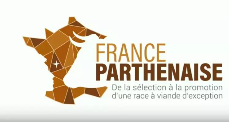 concours général agricole race Parthenaise