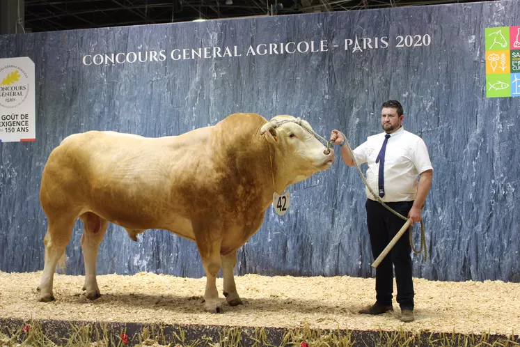 concours général agricole race Blonde d'Aquitaine