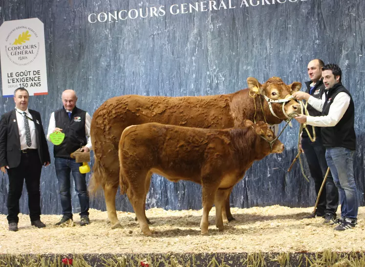 concours général agricole race Limousine