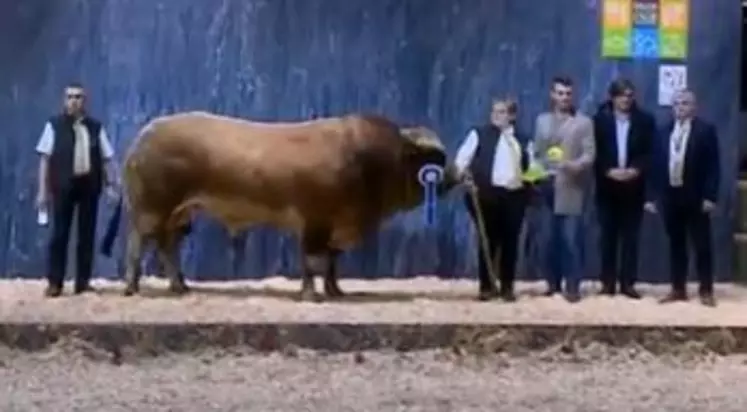 concours général agricole race Parthenaise