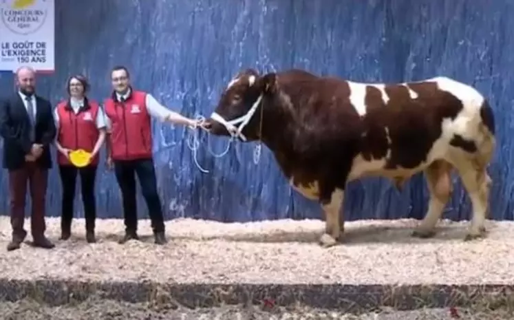 concours général agricole Rouge des Prés