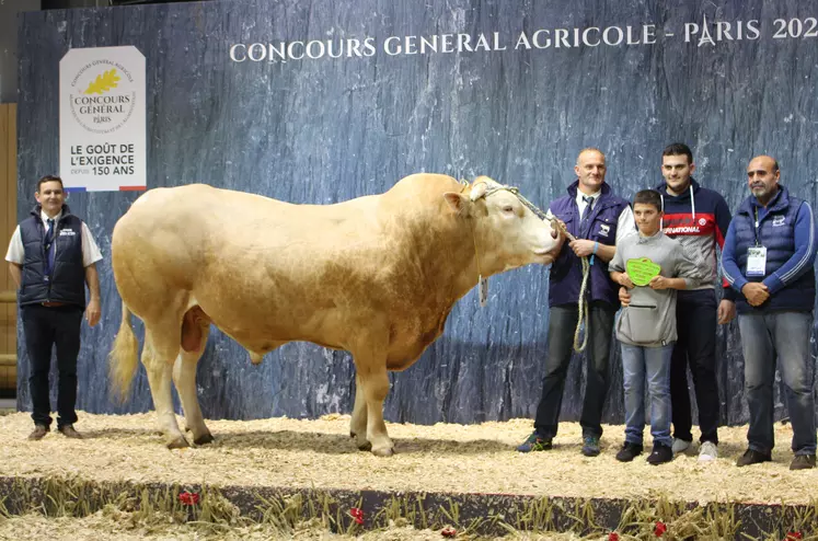 concours général agricole race Blonde d'Aquitaine