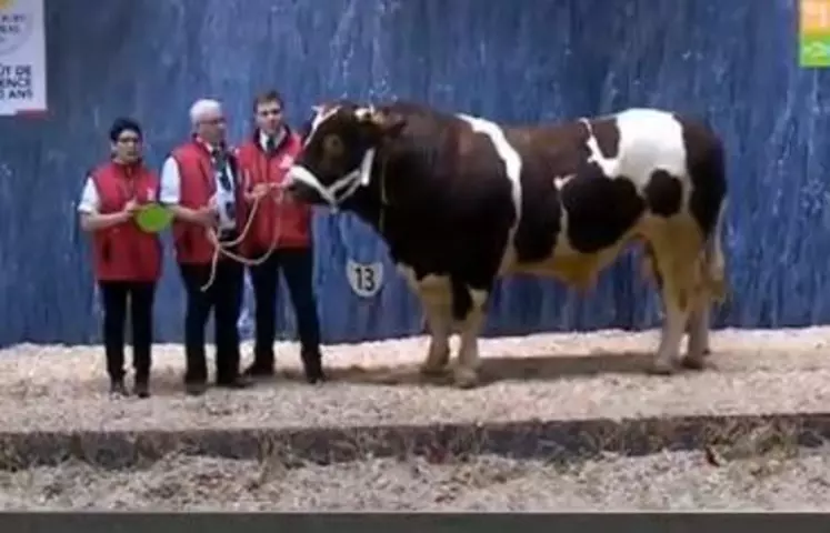 concours général agricole Rouge des Prés