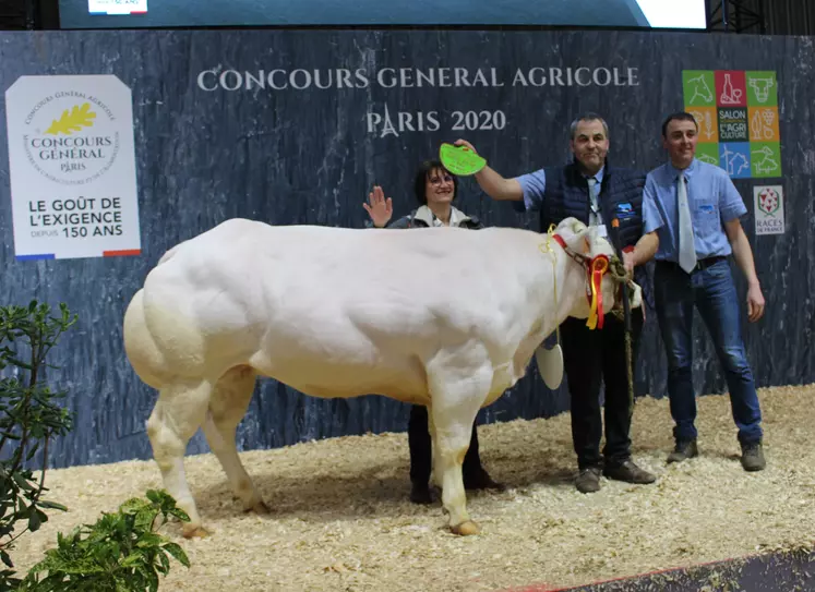 concours général agricole race Blanc Bleu