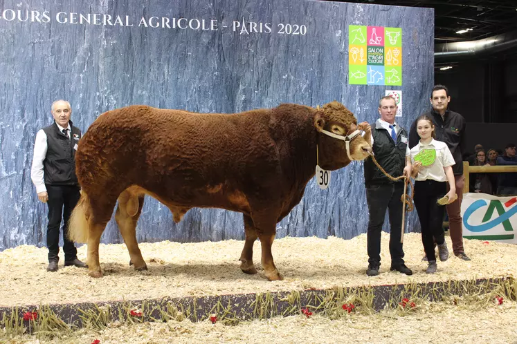 concours général agricole race Limousine