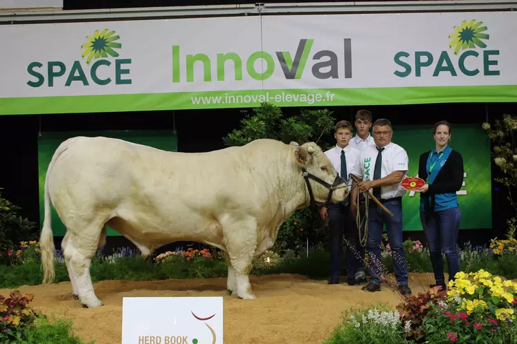 space concours charolais