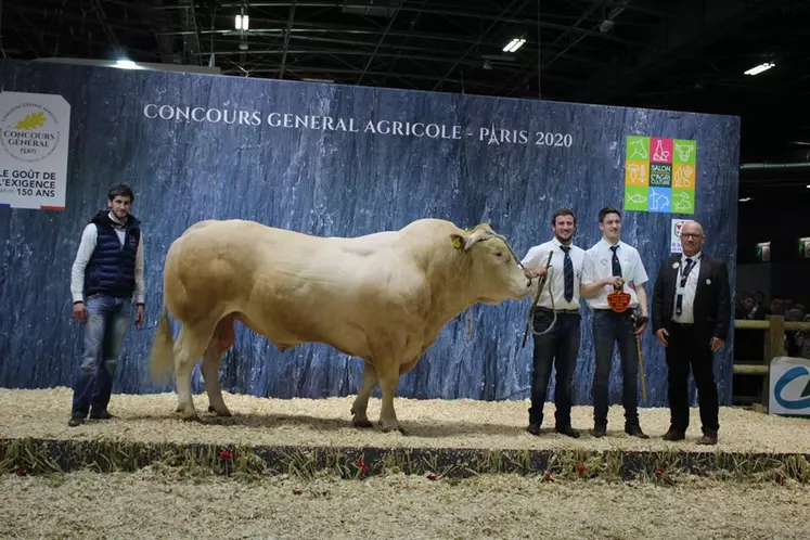 concours général agricole Blonde d'Aquitaine