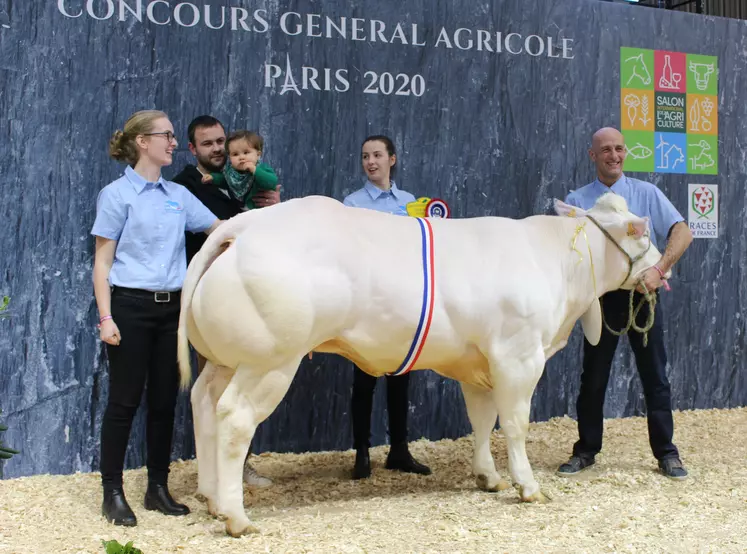 concours général agricole race Blanc Bleu