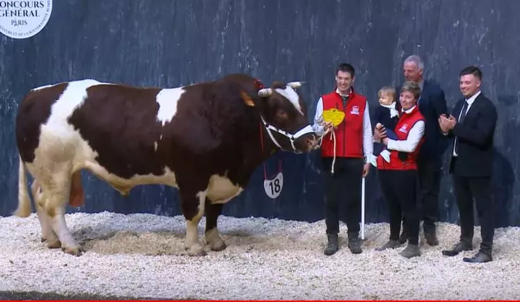 concours général agricole Rouge des Prés