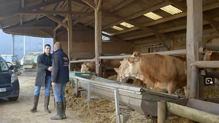 négociant achat bétail en ferme