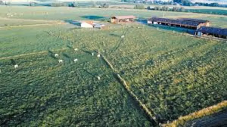 ferme expérimentale Arvalis à Saint-Hilaire-en-Woëvre