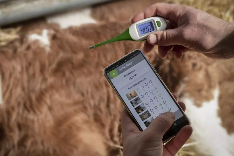 thermomètre connecté santé du veau