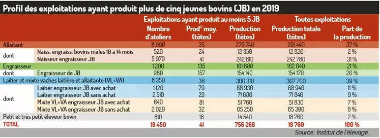 tableau profil des producteurs de jeunes bovins