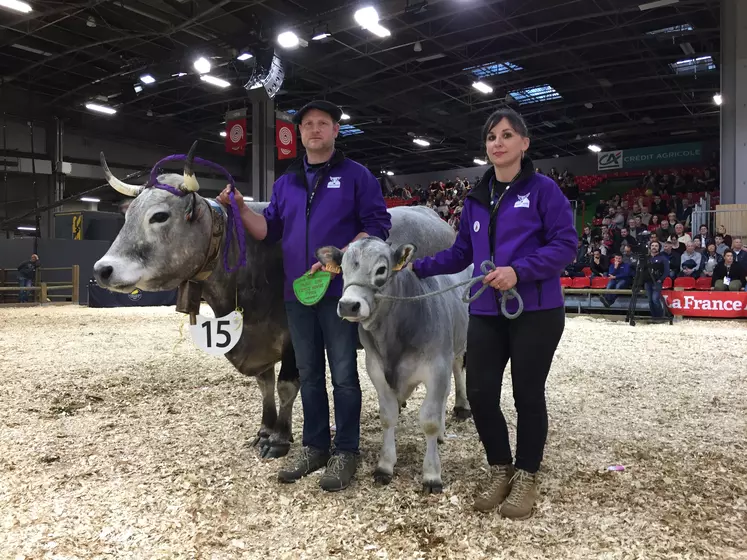 Gina, premier prix de section appartenant au Gaec Comet de Poy (Haute-Garonne)