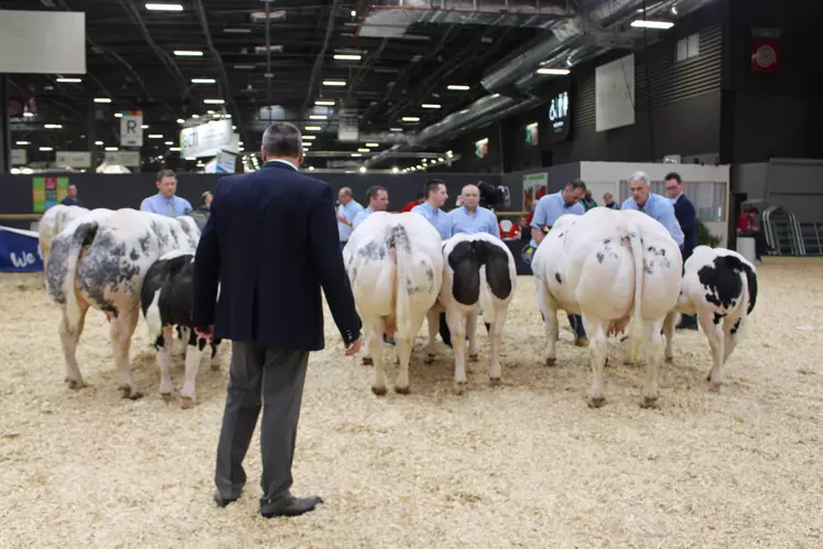 concours général agricole Blanc Bleu